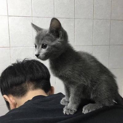 微信最新清新帅气男生头像