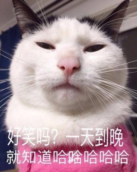 微信猫咪萌萌哒表情包