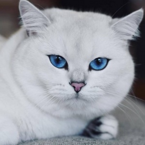 微信最新意境非主流霸气男生头像