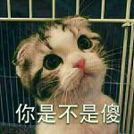 手动再见微信恶搞表情包