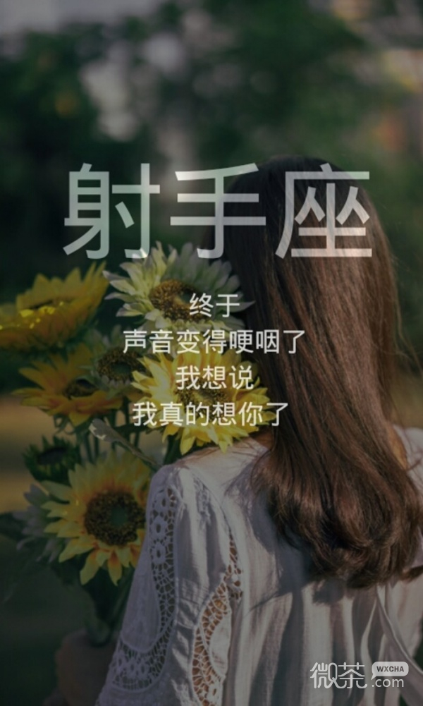微信最新个性星座聊天背景