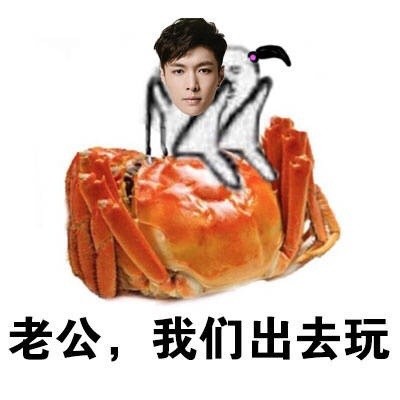 老公，我们走微信恶搞斗图表情包