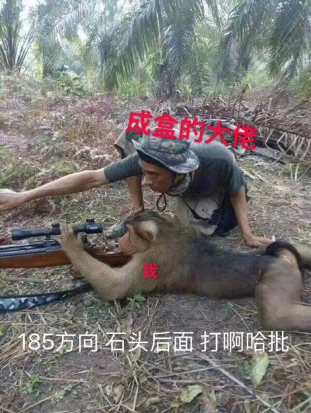 微信近期斗图表情包精选12/22（二）