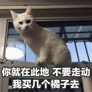 微信近期斗图表情包精选12/22（二）