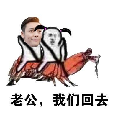 老公，我们走微信恶搞斗图表情包