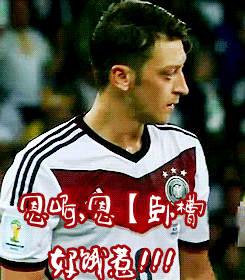 厄齐尔恶搞微信动态表情包