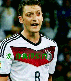 厄齐尔恶搞微信动态表情包