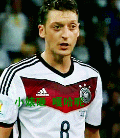 厄齐尔恶搞微信动态表情包