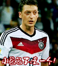 厄齐尔恶搞微信动态表情包