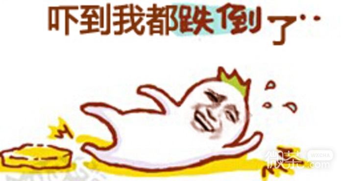 微信金馆长精选斗图表情包