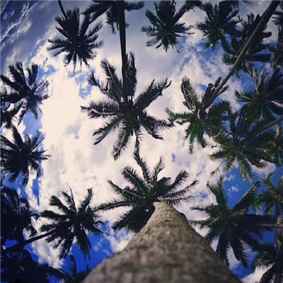 微信最新唯美粉嫩意境风景静物头像