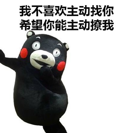 马上元旦了，有什么安排微信熊本熊恶搞表情包