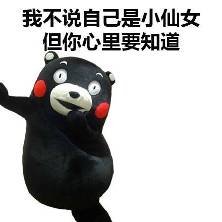 马上元旦了，有什么安排微信熊本熊恶搞表情包