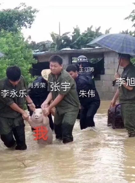 微信近期斗图恶搞表情包2019/1/1