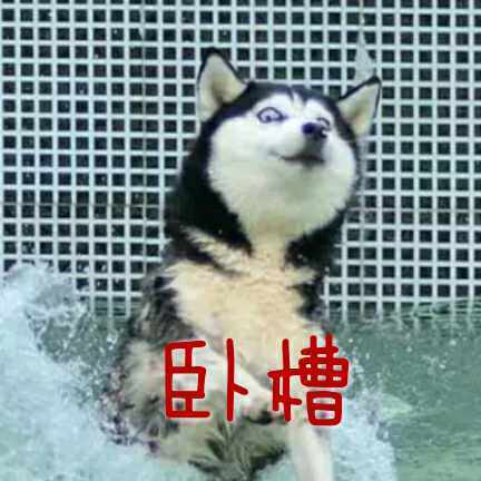 每天都被自己遇瞎微信哈士奇恶搞表情包