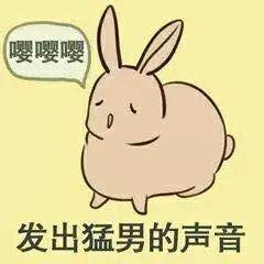 微信近期斗图恶搞表情包2019/1/1