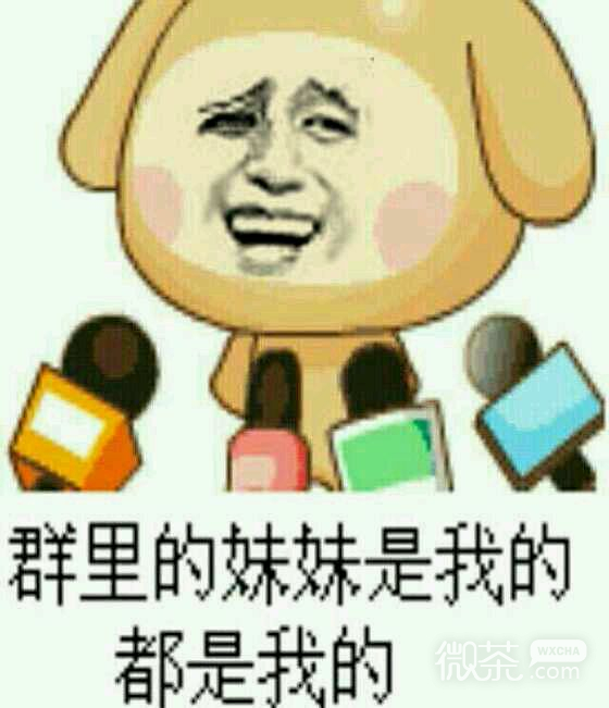 装逼小黄狗微信恶搞逗比表情包