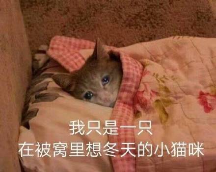 微信近期斗图恶搞表情包2019/1/2（二）