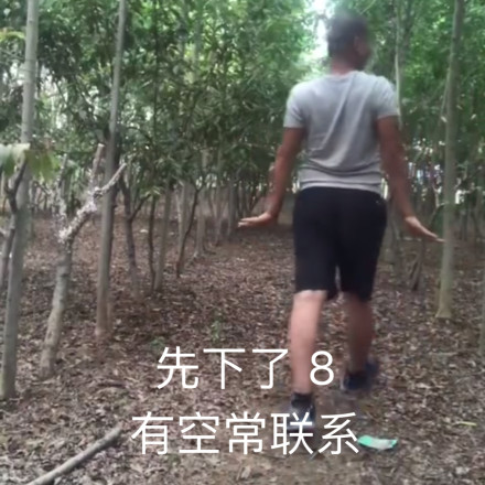 微信近期斗图恶搞表情包2019/1/2（二）