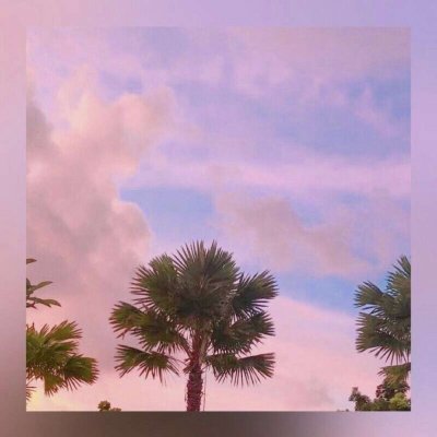 微信唯美粉嫩风景静物头像