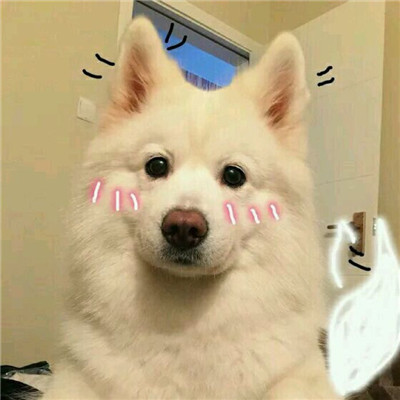 微信超可爱汪星人头像