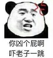 聊你妈微信熊猫头恶搞斗图表情包