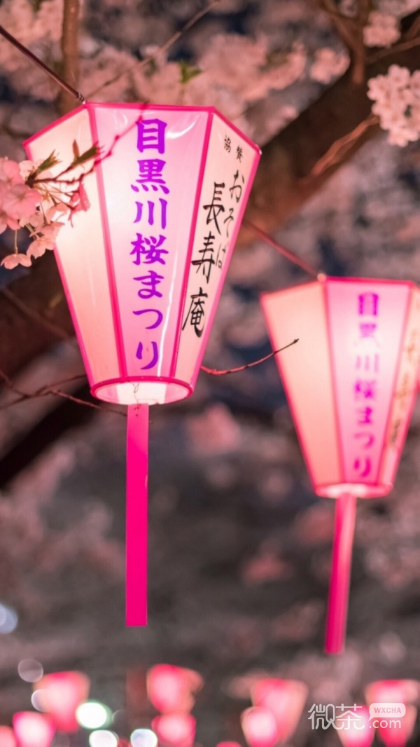 唯美意境风景静物微信聊天背景