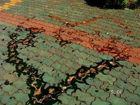 微信朋友圈个性非主流图片合集下载