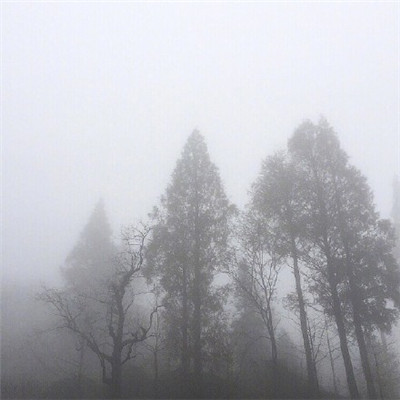 微信好看唯美意境风景静物头像