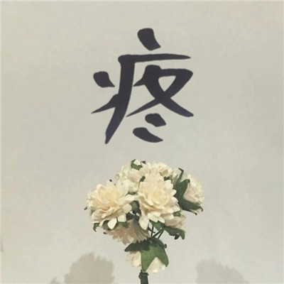 微信简单清新风景静物头像