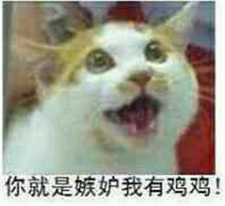 微信可爱另类喵星人表情包