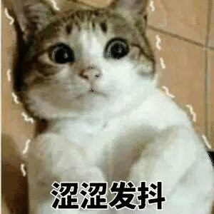 微信可爱另类喵星人表情包
