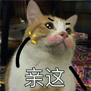 微信可爱另类喵星人表情包