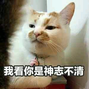 微信聊天斗图喵星人表情包