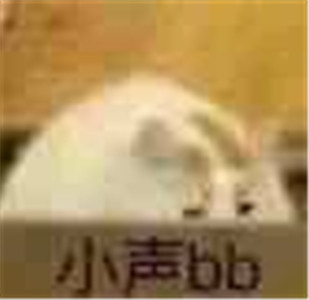 微信可爱另类喵星人表情包