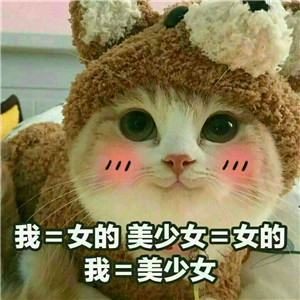 微信可爱另类喵星人表情包