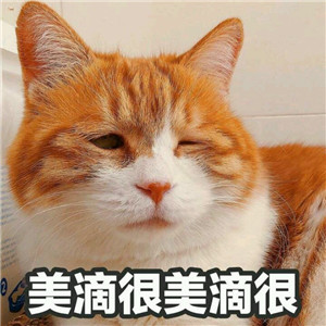 微信可爱另类喵星人表情包