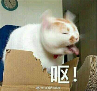 微信可爱另类喵星人表情包