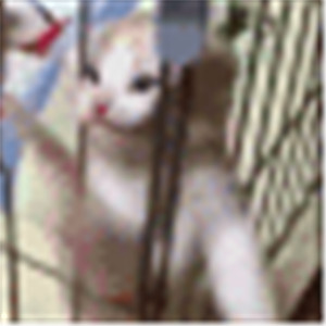 微信可爱另类喵星人表情包