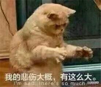 微信可爱另类喵星人表情包