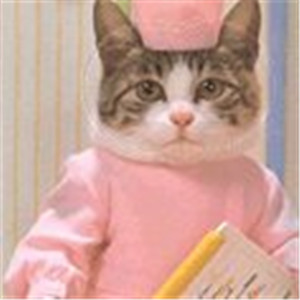 微信可爱另类喵星人表情包