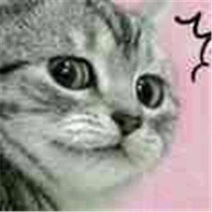 微信可爱另类喵星人表情包