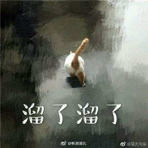 微信可爱另类喵星人表情包