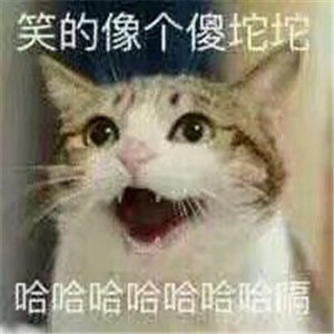 微信可爱另类喵星人表情包
