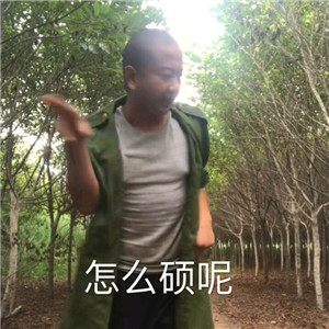 不愿面对微信恶搞斗图表情包