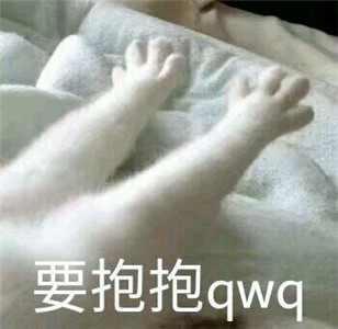 不愿面对微信恶搞斗图表情包