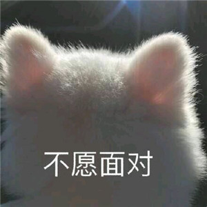 不愿面对微信恶搞斗图表情包