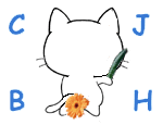可爱搞怪的菊花教教猫系列微信表情包合集下载