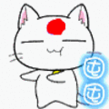 可爱搞怪的菊花教教猫系列微信表情包合集下载