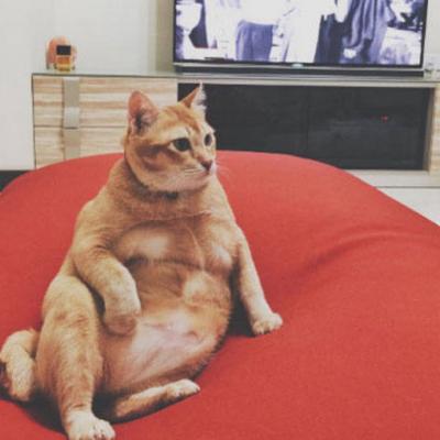 微信非主流恶搞头像